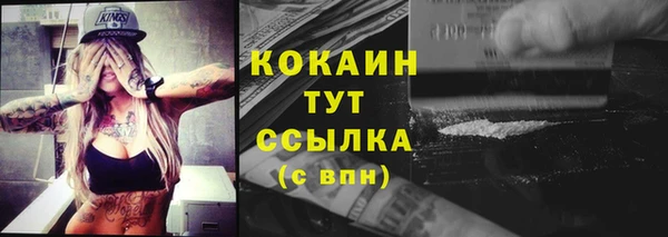 МДПВ Богородск