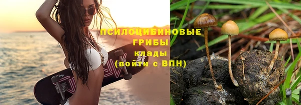 гашиш Богородицк