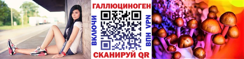 маркетплейс какой сайт  Ленинградская  Галлюциногенные грибы прущие грибы 
