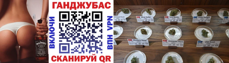 Марихуана планчик Ленинградская
